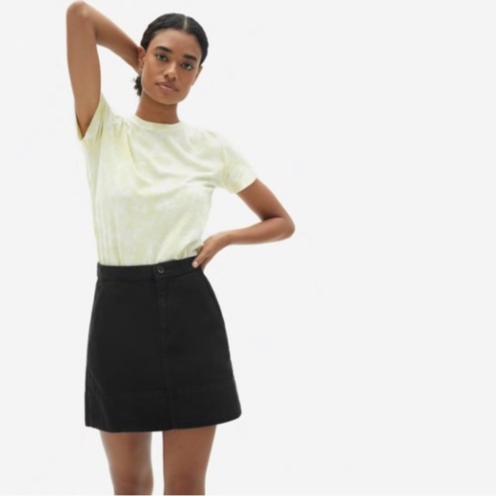 Everlane The Canvas Stamp Black Mini Skirt